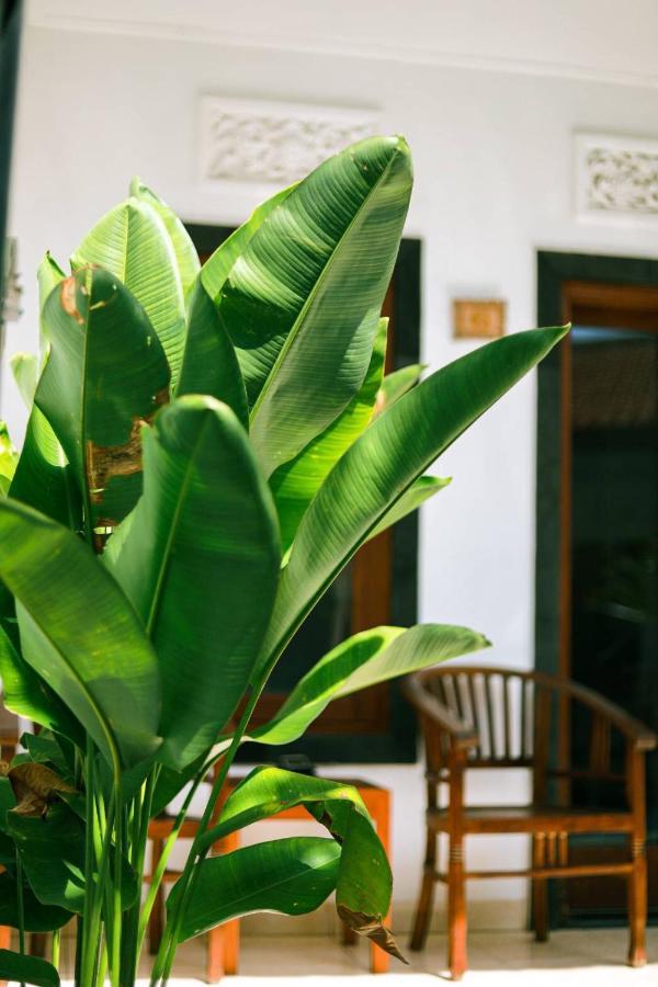 Adi Guest House Canggu  Exterior photo