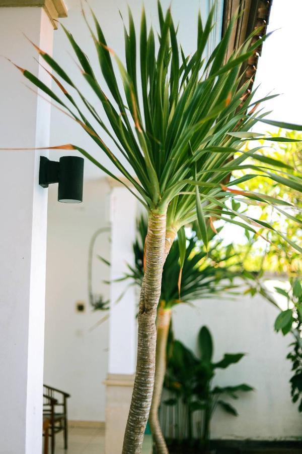Adi Guest House Canggu  Exterior photo