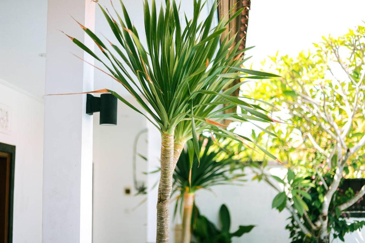 Adi Guest House Canggu  Exterior photo